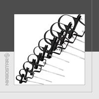 بست ریگلاژی